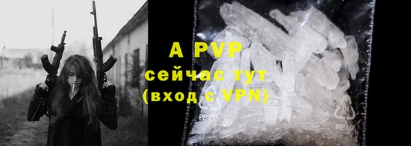 mdpv Белокуриха