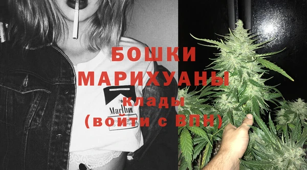 mdpv Белокуриха