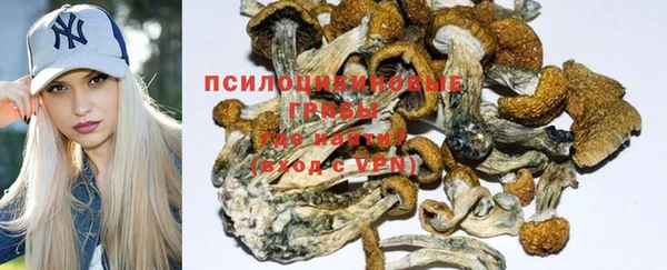 герыч Снежногорск