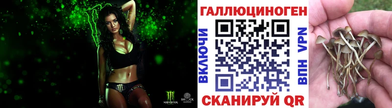 гидра как войти  где купить наркотик  Вязники  Галлюциногенные грибы Cubensis 